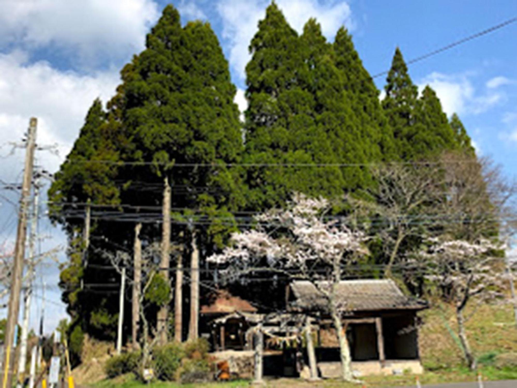 Guesthouse Kurihai โออิตะ ภายนอก รูปภาพ