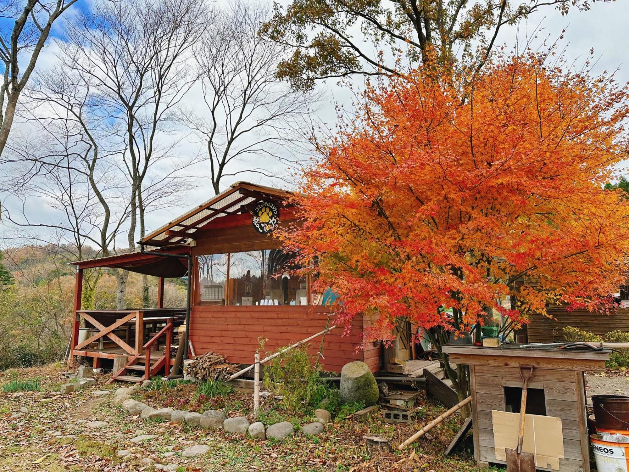 Guesthouse Kurihai โออิตะ ภายนอก รูปภาพ